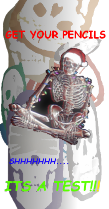 A shitty clip-art skeleton says, 'Get your pencils. Shh. It's a test!'